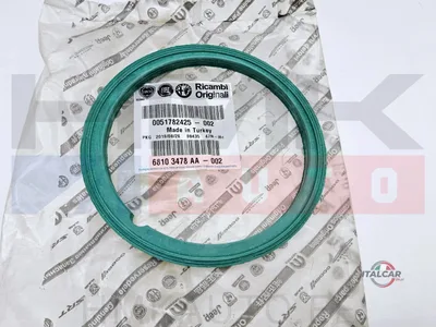Kütusepumba kinnitusvõru tihend OEM Nemo/Bipper/Fiorino/Doblo - FIAT  51782425 - OE - 100% Genuine Part