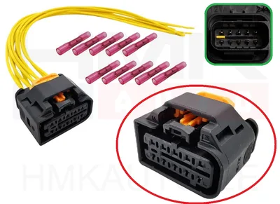 Headlight plug Citroen/Peugeot (10 contacts) - PI10-002