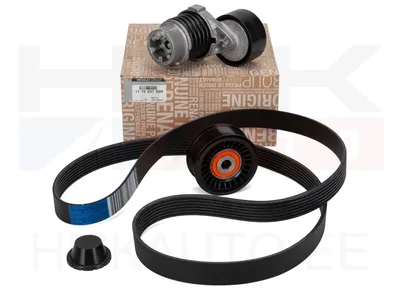 Mitmikkiilrihma komplekt OEM Renault/Dacia 1,2TCE - REN  117203790R - OE - 100% Genuine Part