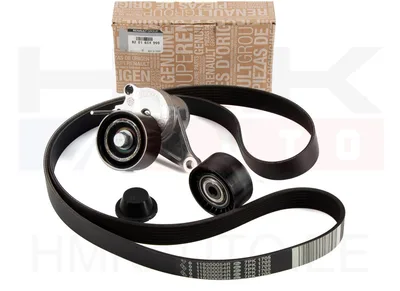 Mitmikkiilrihma komplekt OEM Renault 2,0DCi 7PK1705 - REN  8201654999 - OE - 100% Genuine Part
