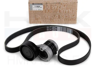 Mitmikkiilrihma komplekt OEM Renault /Dacia 1,5BluedCi - REN  117203804R - OE - 100% Genuine Part