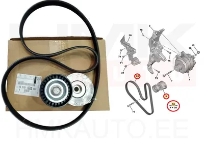 Mitmikkiilrihma komplekt OEM Citroen / Peugeot 2,0BlueHDI - PSA  1617025580 - OE - 100% Genuine Part