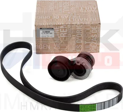 Mitmikkiilrihma komplekt OEM Renault/Dacia/Nissan 1,5BluedCi 2019- - REN  117204246R - OE - 100% Genuine Part