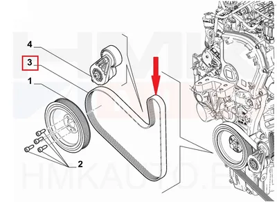 Mitmikkiilrihm OEM Jumper/Boxer/Ducato MCA 2,2HDI 2024- - PSA 1694815380 - OE - 100% Genuine Part