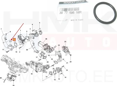 EGR toru tihend OEM Renault Master 2,3DCi 2010- - REN 397759558R - OE - 100% Genuine Part
