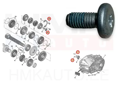Polt M8x1,25-L17 OEM Peugeot/Citroen/Fiat - PSA 231455 - OE - 100% Genuine Part