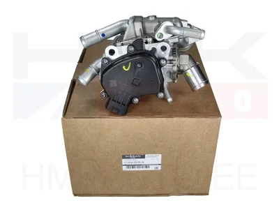 Termostaat korpusega OEM Renault 1,6TCe 2016- - REN  21250BV81A - OE - 100% Genuine Part
