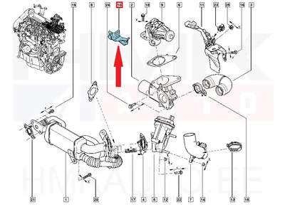 Väljalaskegaaside rõhuanduri kinnitus OEM Renault - REN  223675771R/L - OEM (no box)