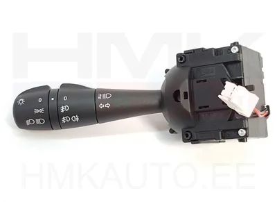 Tulede lüliti OEM Renault/Dacia - REN  255405003R/L - OEM (no box)