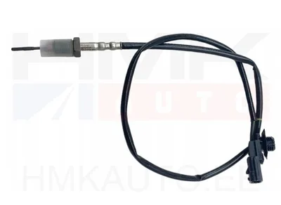 Väljalaskegaaside temperatuuri andur OEM Renault Trafic III 1,6DCI - REN 226409314R/L - OEM (no box)