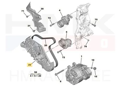 Ajamite rihma kate OEM Citroen/Peugeot 2,0BlueHDI EURO6 - PSA  9804177080 - OE - 100% Genuine Part