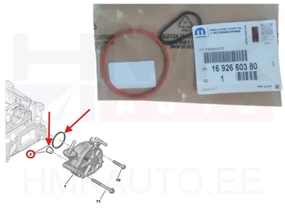 Vacuum pump gasket set OEM Citroen/Peugeot - PSA 1692660380 - OE - 100% Genuine Part