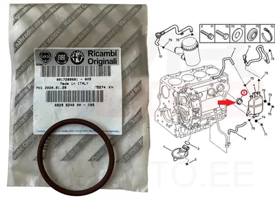 Karterituulutuse tihend OEM Jumper/Boxer/Ducato/Daily 2,8 00- - FIAT 17289681 - OE - 100% Genuine Part