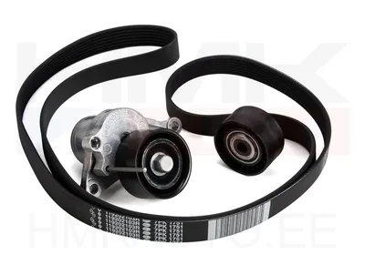 Mitmikkiilrihma komplekt OEM Renault Master 2,3DCI 2016-  RWD - REN  117202056R - OE - 100% Genuine Part