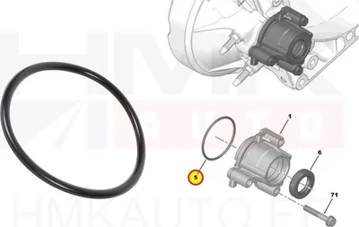Уплотнительное кольцо КПП OEM Citroen/Peugeot/Fiat (BE4R КПП) 60x3 - FIAT 9626069580 - OE - 100% Genuine Part