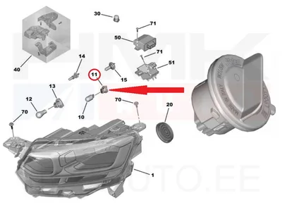 Патрон лампы OEM Citroen Berlingo/Peugeot Rifter 2018- - PSA  9828223080 - OE - 100% Genuine Part
