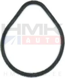Drosselklapi tihend OEM Citroen/Peugeot 1,1-1,4 TU1, TU3 mootorid - PSA  0348Q2 - OE - 100% Genuine Part