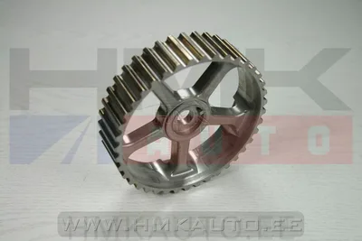 Nukkvõlli rihmaratas OEM Renault F8Q/F9Q 96-> - REN 7700866844 - OE - 100% Genuine Part