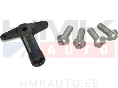 Комплект болтов для центральный капсулы дисков с ключем Renault Clio/Modus/Megane/Laguna/Scenic/VelSatis - JAD 96834J - Prottego