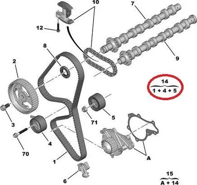 Hammasrihma komplekt OEM Citroen/Peugeot 1,6HDI DV6TED4 - PSA  0831V4 - OE - 100% Genuine Part
