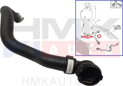Jahutusvedeliku lõdvik OEM Expert/Jumpy 2,0BlueHDi 2016- - PSA  9809929080 - OE - 100% Genuine Part