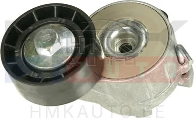 Mitmikkiilrihma pinguti Peugeot/Citroen 1,4HDI/1,6HDI - SNR  GA359.17 - SNR France