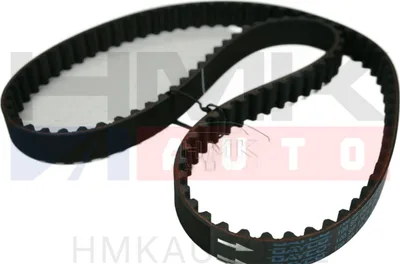 Courroie de distribution Peugeot 206 1,0 16v / Renault Clio, Modus, Twingo 1,0-1,2 16v - DAY  94910 - Dayco
