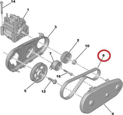 Hammasrihm kütusepumbale OEM Citroen/Peugeot/Landrover/Jaguar 2,7HDI - PSA  192671 - OE - 100% Genuine Part