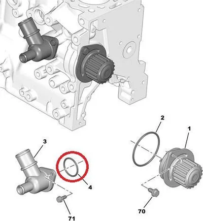 Jahutusvedeliku flantsi tihend OEM PSA - PSA  120698 - OE - 100% Genuine Part