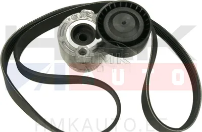 Mitmikkiilrihma komplekt OEM Renault 1,4 16V/1,5DCI - REN  7701476475 - OE - 100% Genuine Part