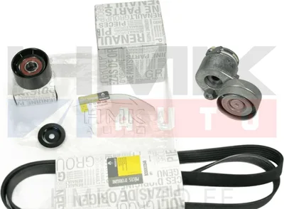 Mitmikkiilrihma komplekt OEM Renault Trafic II/Opel Vivaro/Nissan Primastar 1,9DCi AC+ - REN  117200713R - OE - 100% Genuine Part