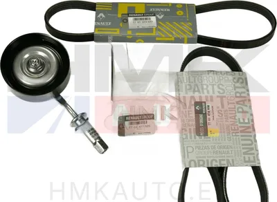 Mitmikkiilrihma komplekt OEM Renault 3,5 V6 - REN  7701477525 - OE - 100% Genuine Part