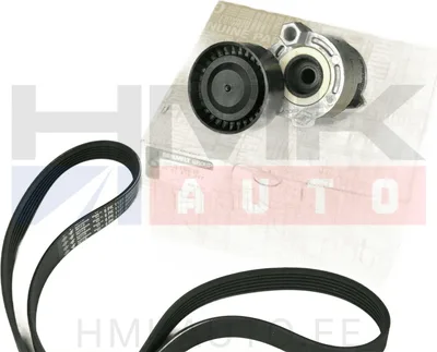 Mitmikkiilrihma komplekt OEM Renault /Dacia 1,4, 1,5DCI, 1,6 - REN  117207020R - OE - 100% Genuine Part