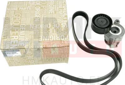 Mitmikkiilrihma komplekt OEM Renault 1,5Dci/1,6 16V - REN  117203694R - OE - 100% Genuine Part