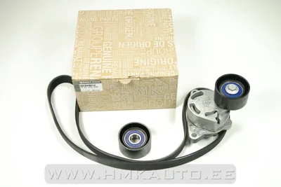Mitmikkiilrihma komplekt OEM Renault 2,2-2,5DCI 6PK1148 - REN  7701475629 - OE - 100% Genuine Part